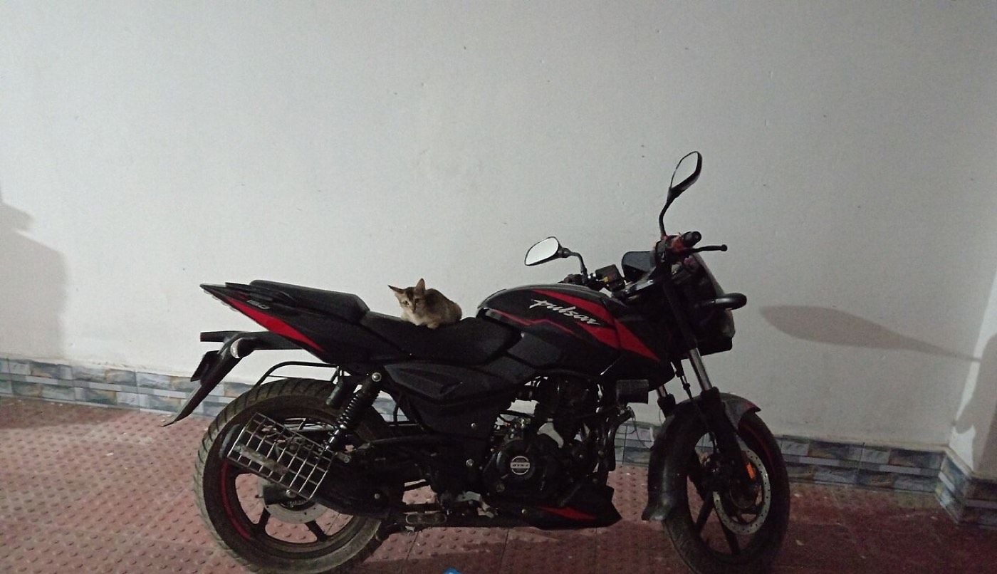 Bajaj Pulsar 150